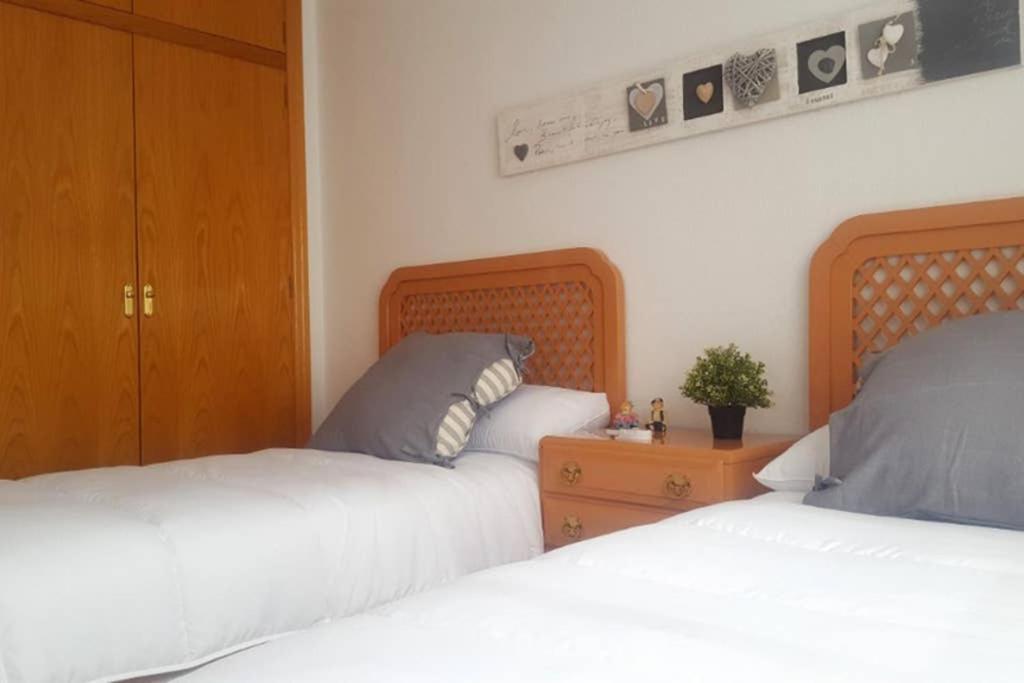 Encantador Apartamento En El Centro Appartamento Alicante Esterno foto